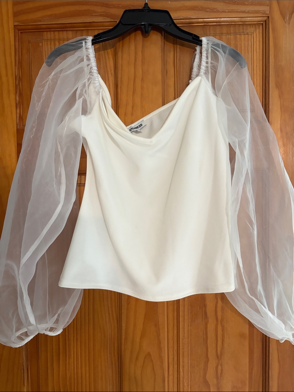 Express Ivory Sheer Tulle Sleeve Top